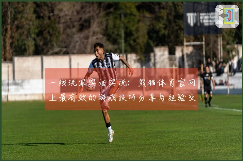 一线玩家实话实说：熊猫体育官网上最有效的游戏技巧分享与经验交流