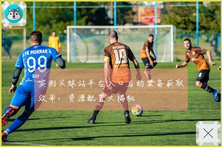 实测买球站平台入口后的装备获取效率，资源配置大揭秘